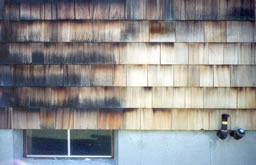 Cedar shingles - before and after power washing.