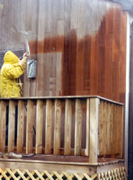 Beautify your natural wood siding.